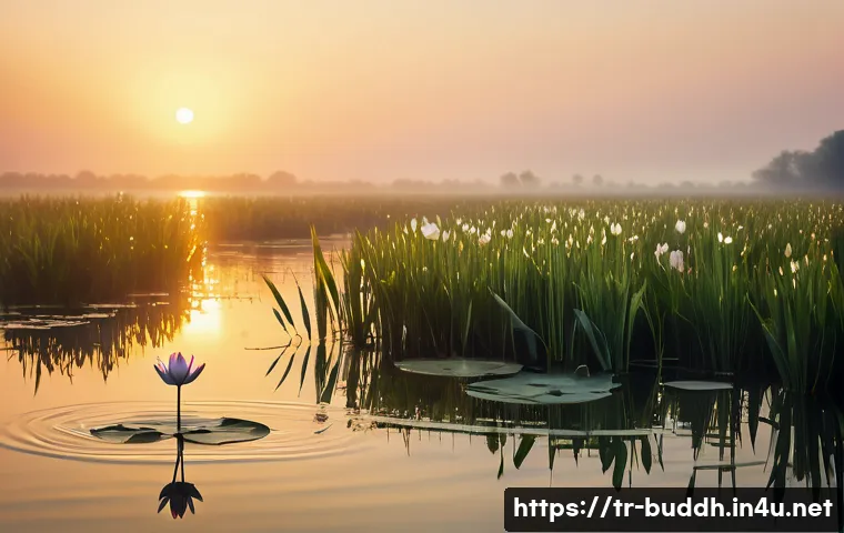연꽃과 불교 - A serene lotus flower blooming vividly in a tranquil Turkish wetland at sunrise, with delicate water...